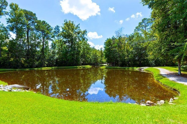 1870 Gammon St, Charleston, SC 29414 - water view featuring a heavily wooded area
