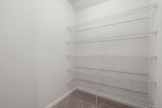 341 Witch Hazel St, Summerville, SC 29486 - view of storage area