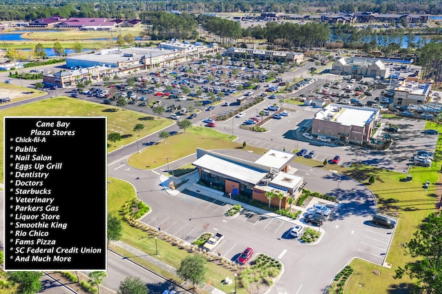 341 Witch Hazel St, Summerville, SC 29486 - bird's eye view of a nearby body of water