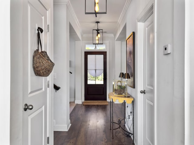 interior space featuring baseboards, dark wood-type flooring, and crown molding