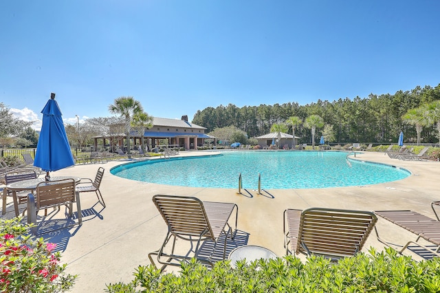 view of swimming pool featuring a patio