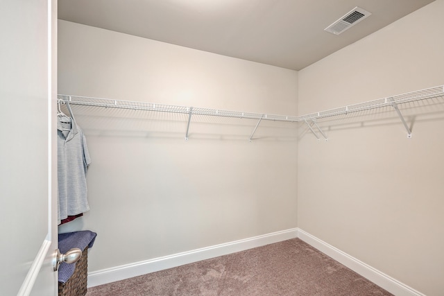 walk in closet with carpet