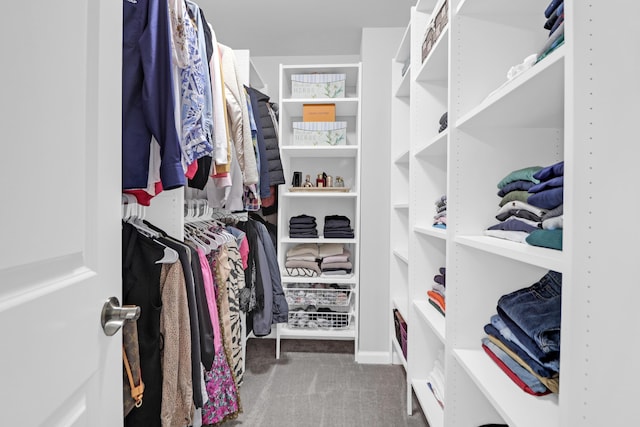 spacious closet featuring carpet floors