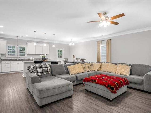 living room with dark hardwood / wood-style floors, ceiling fan, ornamental molding, and sink