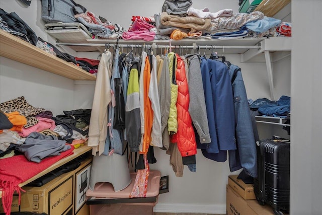 58 Indigo Ln, Goose Creek, SC 29445 - view of walk in closet