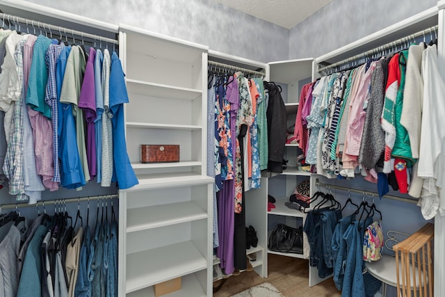 6242 Fieldstone Cir, Charleston, SC 29414 - spacious closet with wood finished floors