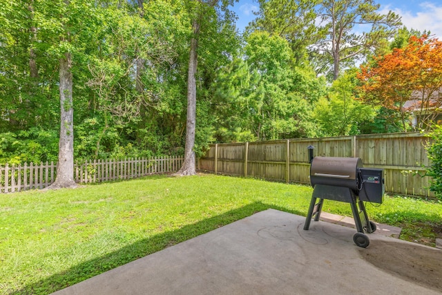 view of yard featuring a patio