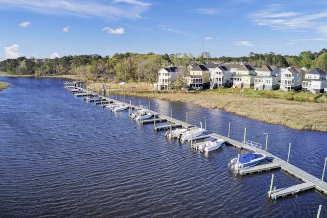 dock area with a water view