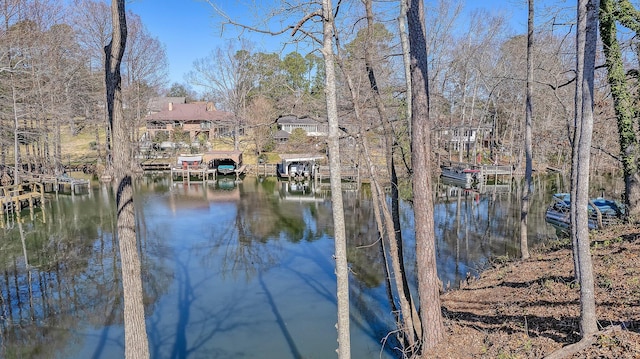 property view of water featuring a dock