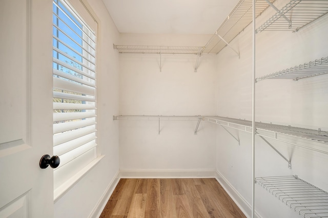 walk in closet with light hardwood / wood-style floors