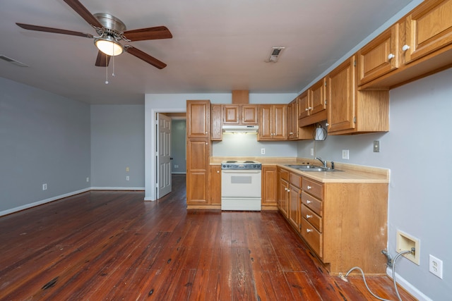 kitchen featuring dark hardwood / wood-style floors, sink, white range, and ceiling fan