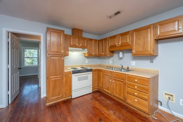 kitchen with sink, electric range, and dark wood-type flooring