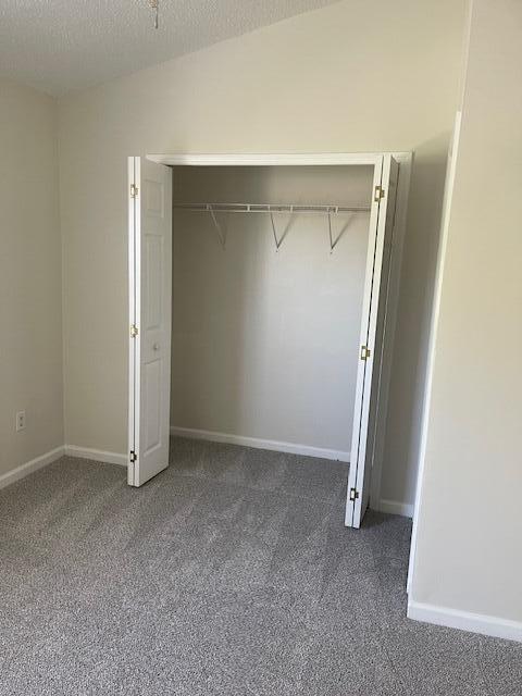 145 Taylor Cir, Goose Creek, SC 29445 - view of closet