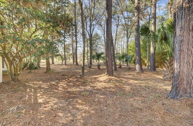 view of local wilderness