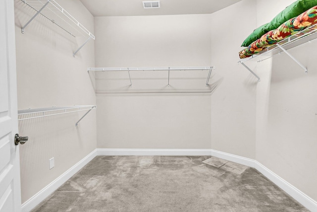 spacious closet featuring carpet