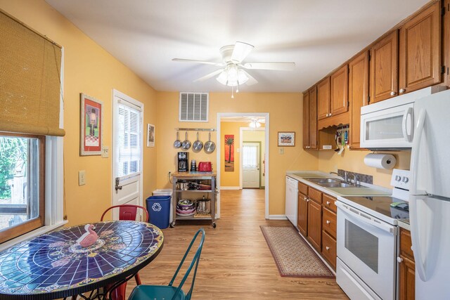 kitchen featuring ceiling fan, a healthy amount of sunlight, white appliances, and light hardwood / wood-style flooring