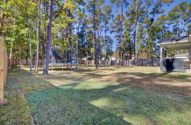 view of yard with a trampoline