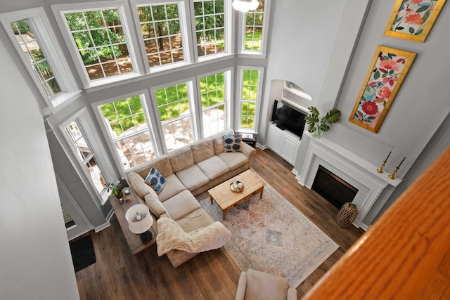 3574 Toomer Kiln Cir, Mount Pleasant, SC 29466 - living area with a fireplace, wood finished floors, and a high ceiling