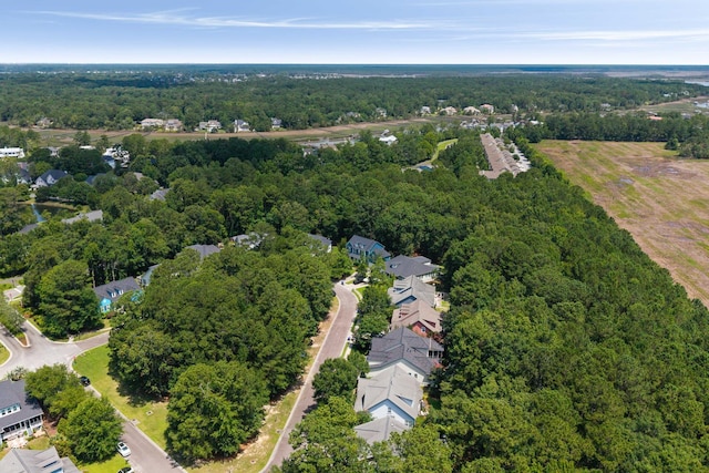 3574 Toomer Kiln Cir, Mount Pleasant, SC 29466 - aerial view of a forest