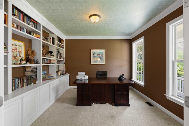 3574 Toomer Kiln Cir, Mount Pleasant, SC 29466 - office area with light carpet, crown molding, and a textured ceiling