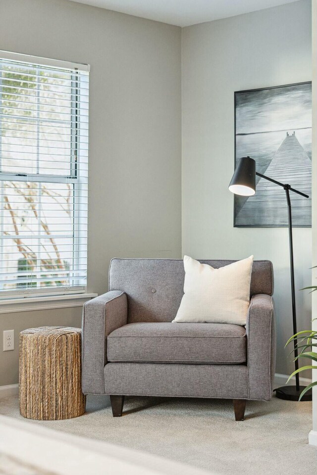 living area with baseboards, carpet floors, and a healthy amount of sunlight