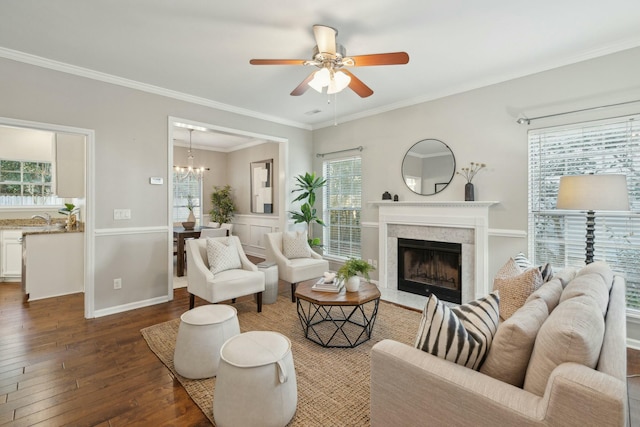 living area with dark wood-style floors, a fireplace, ornamental molding, baseboards, and ceiling fan with notable chandelier