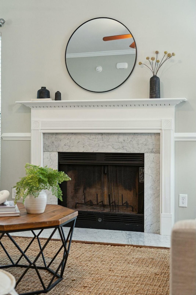 room details featuring a premium fireplace and ornamental molding