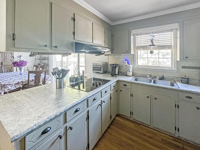 kitchen with black electric stovetop, crown molding, dark wood-type flooring, and sink