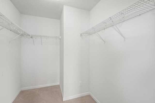 spacious closet featuring light colored carpet