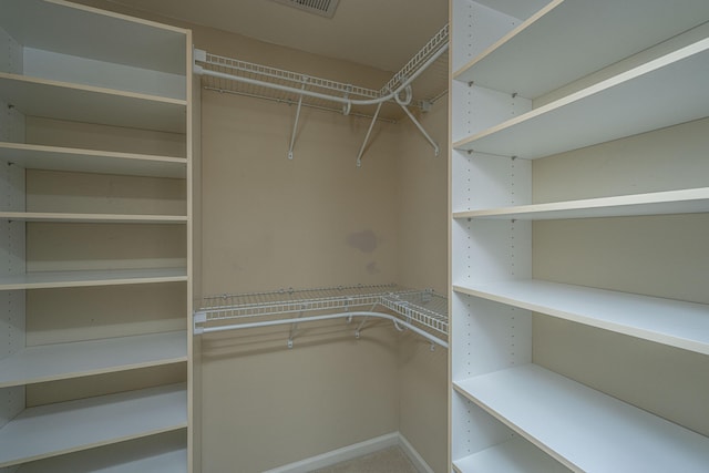 view of spacious closet