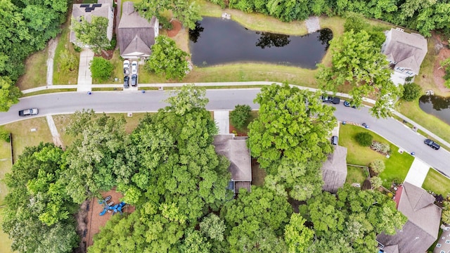 3873 Hanoverian Dr, Mount Pleasant, SC 29429 - aerial overview of property's location with a nearby body of water