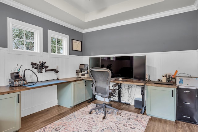 3873 Hanoverian Dr, Mount Pleasant, SC 29429 - home office with a wainscoted wall, wood finished floors, a raised ceiling, and crown molding