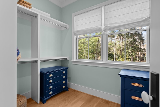 interior space featuring wood finished floors