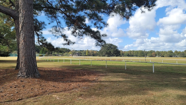 view of yard with a rural view