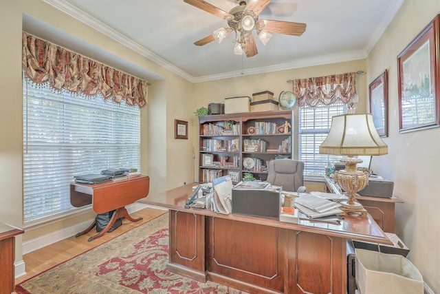 office with ornamental molding, light wood-type flooring, and ceiling fan