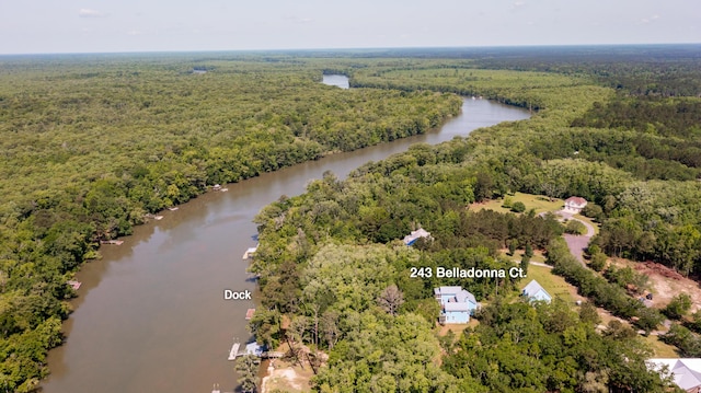 243 Belladonna Ct, Georgetown, SC 29440 - bird's eye view of a heavily wooded area and a nearby body of water
