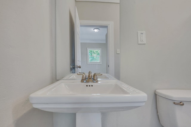 bathroom featuring ornamental molding, sink, and toilet