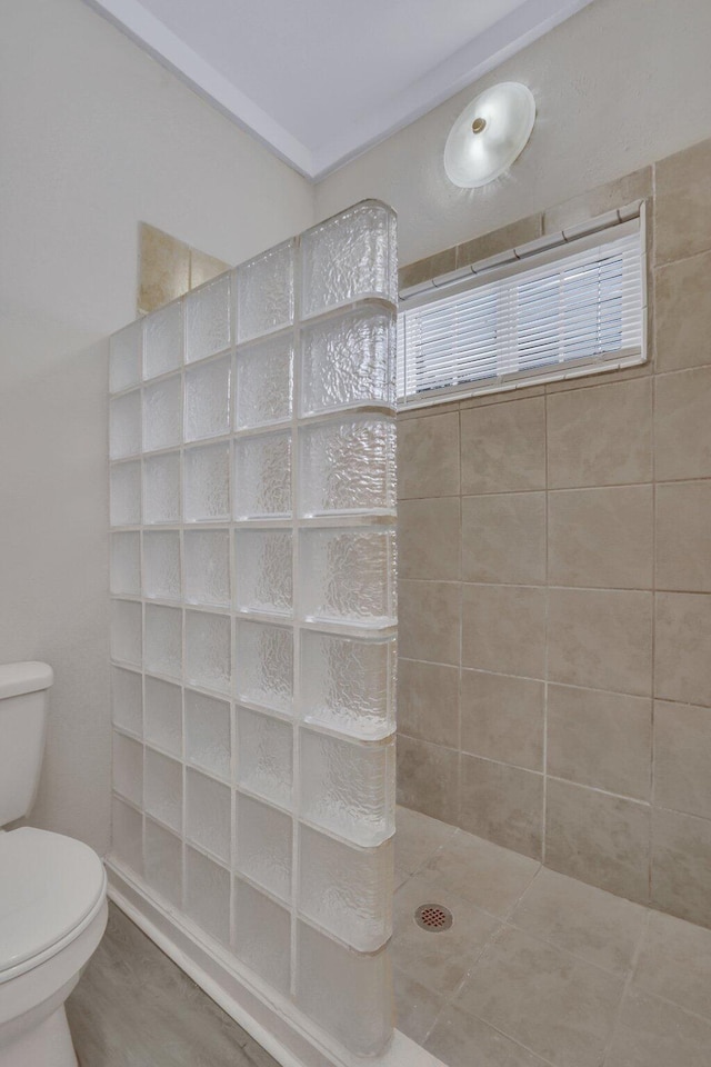 1910 Kerry St, North Charleston, SC 29406 - bathroom with toilet and walk in shower