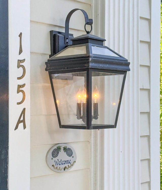 155 Wentworth St Unit A, Charleston, SC 29401 - view of exterior details