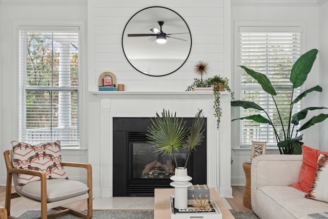 living room featuring ceiling fan, a healthy amount of sunlight, and wood-type flooring