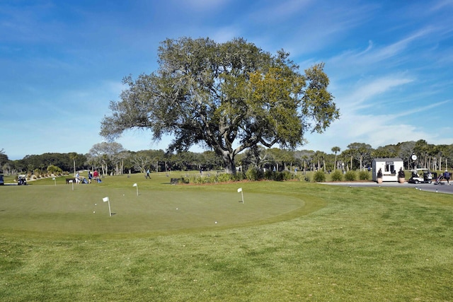 view of property's community featuring a lawn