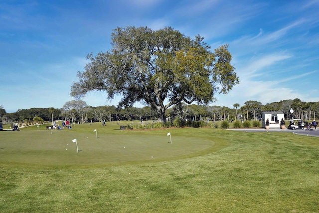 1647 Live Oak Park, Seabrook Island, SC 29455 - surrounding community featuring a putting green, golf course view, and view of scattered trees
