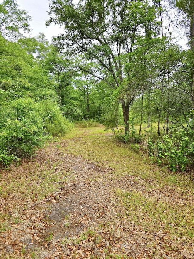 9489 Sidneys Rd, Round O, SC 29474 - view of yard with a wooded view