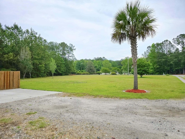 9489 Sidneys Rd, Round O, SC 29474 - view of yard