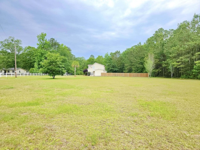 9489 Sidneys Rd, Round O, SC 29474 - view of yard
