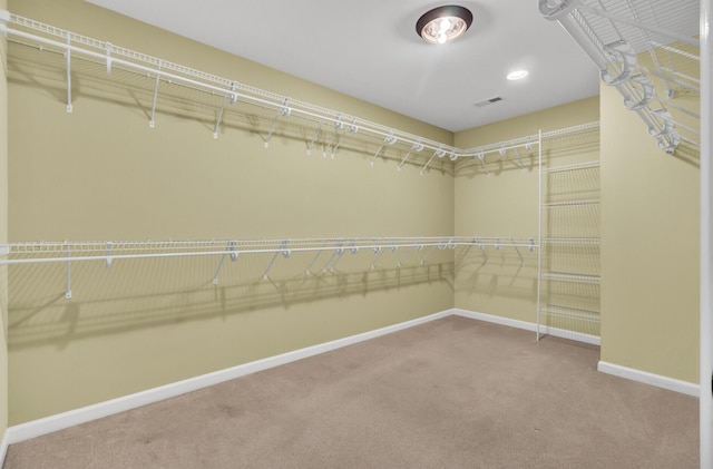 walk in closet featuring carpet floors