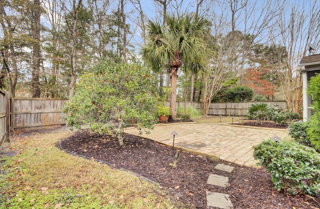 view of yard with a patio