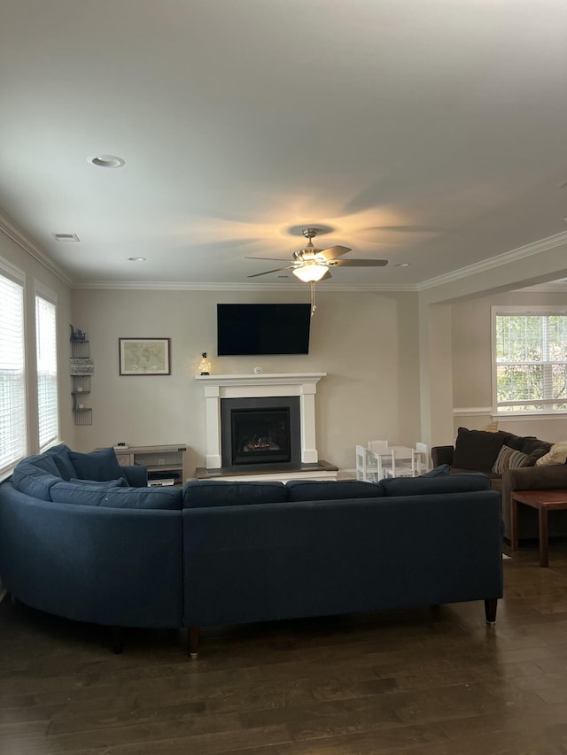 living room featuring dark wood-style floors, crown molding, a fireplace with raised hearth, visible vents, and ceiling fan