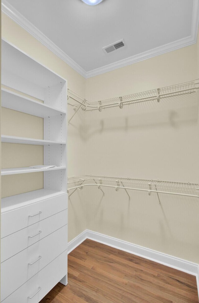 spacious closet featuring wood-type flooring