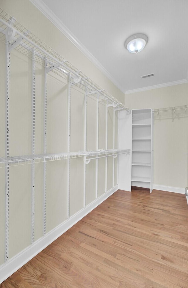 walk in closet with hardwood / wood-style flooring